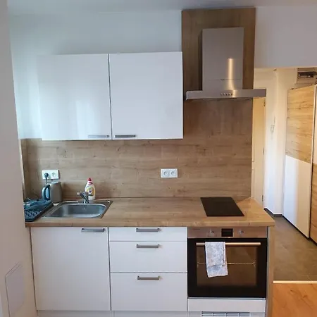 Zoo Karlovarska Appartement Plzeň