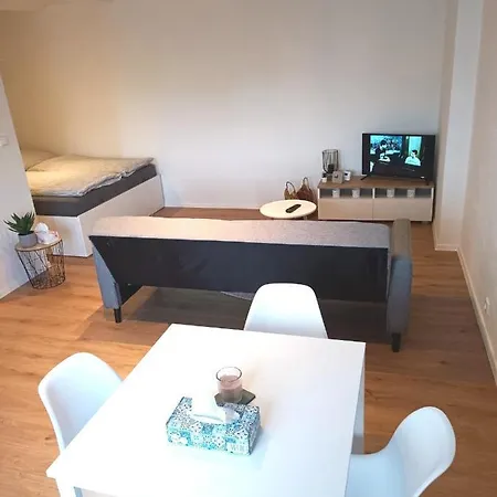 Zoo Karlovarska Apartment Pilsen