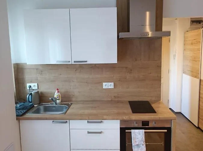 Zoo Karlovarská Apartamento Plzeň