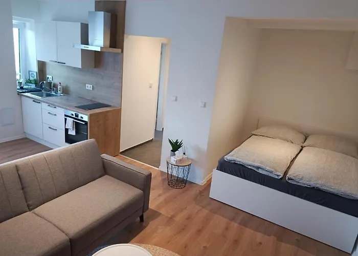 Zoo Karlovarska アパート *